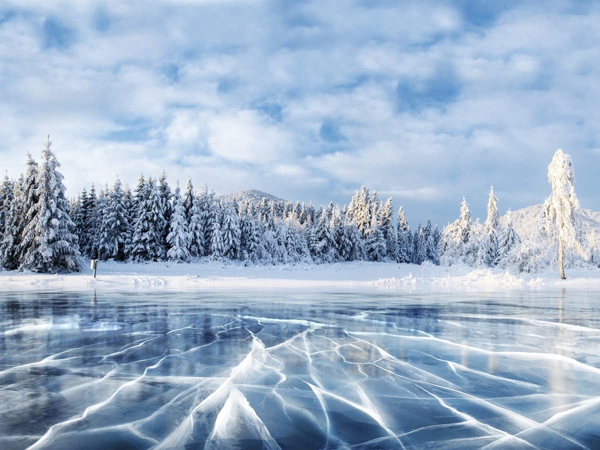 Amazon.com: Artful Printers C-16202145 Frozen Lake Holiday